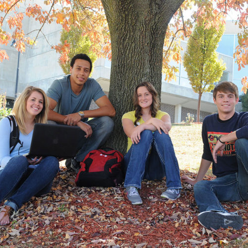 students outside in the fall by a tree