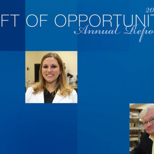 2015 Foundation Annual Report