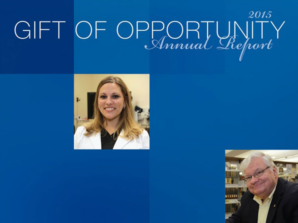 2015 Foundation Annual Report