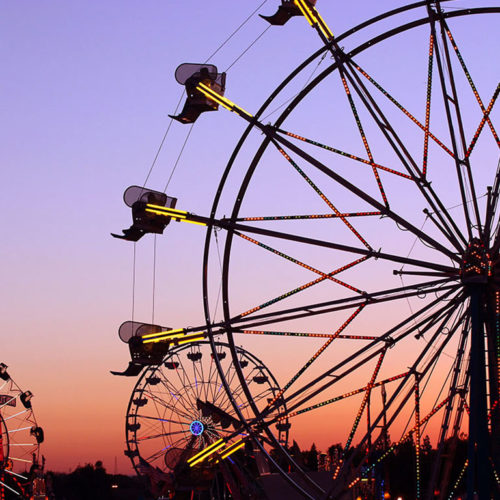 Iowa State Fair