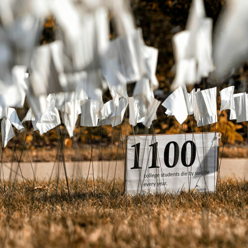 Active Minds Flag Display Featured