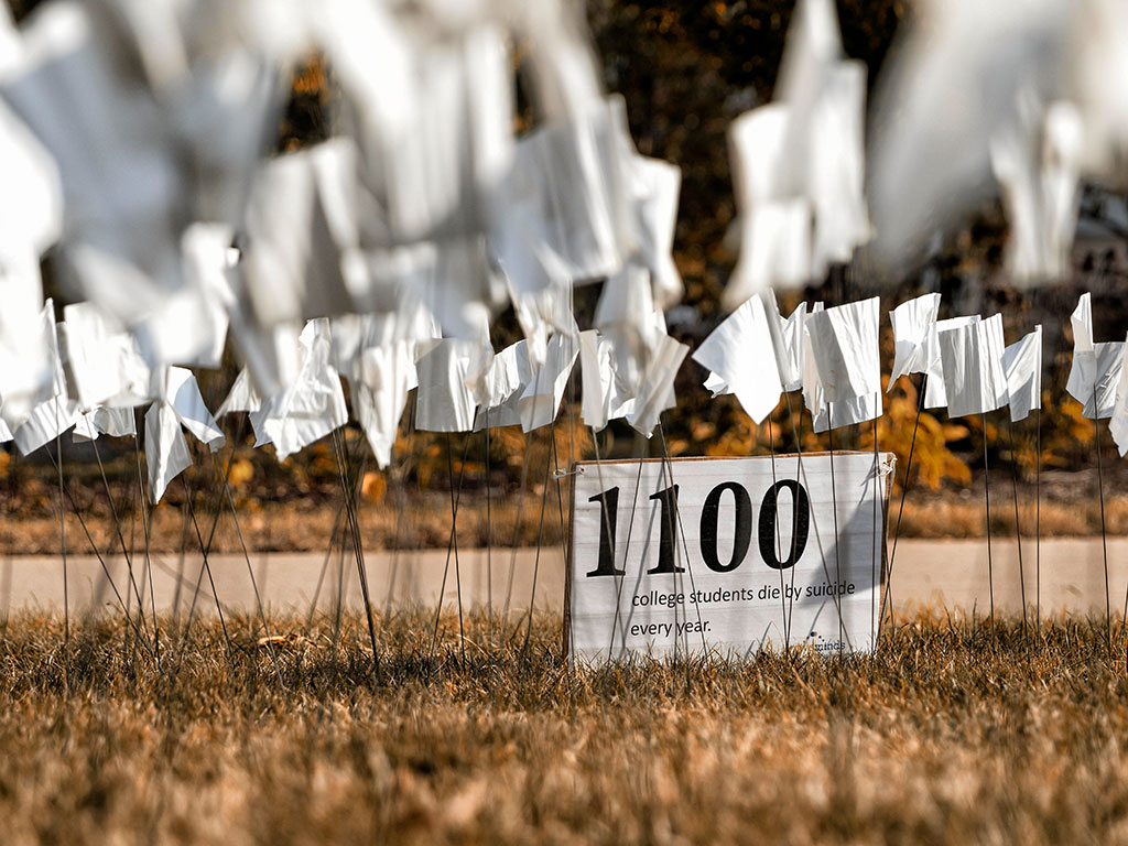 Active Minds Flag Display Featured