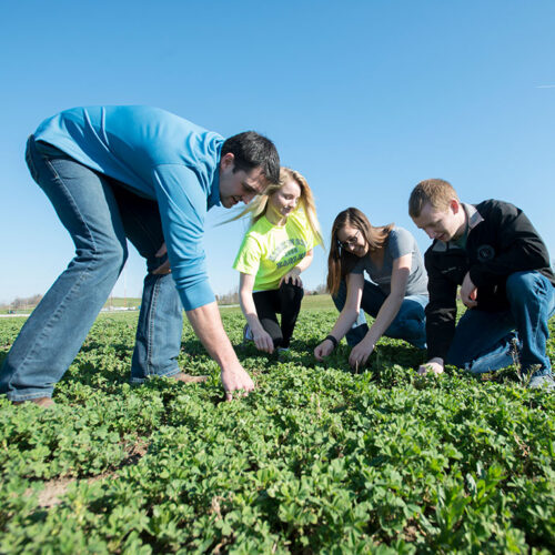 ag students in a field featured