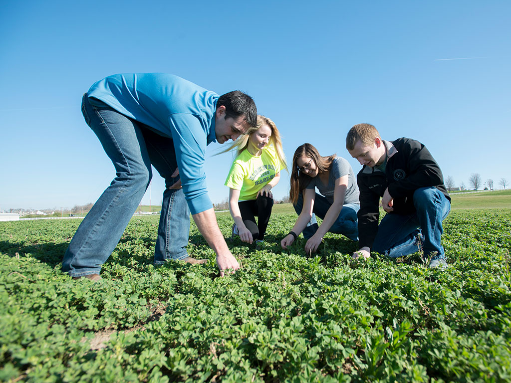 ag students in a field featured