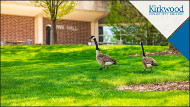 Kirkwood Community College Geese thumbnail