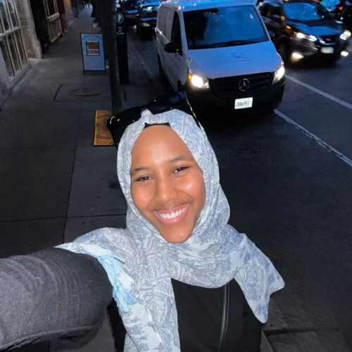 Lama-Selfie-on-the-Street-Featured