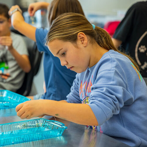A-Camper-Concentrating-Really-Hard-Featured